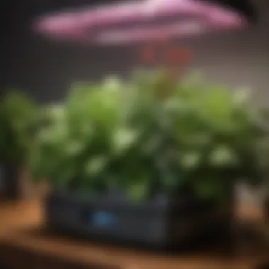 Comparative chart of Aerogarden features and benefits