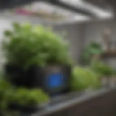 Close-up of Aerogarden smart technology features