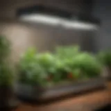 A variety of Aerogarden models on display