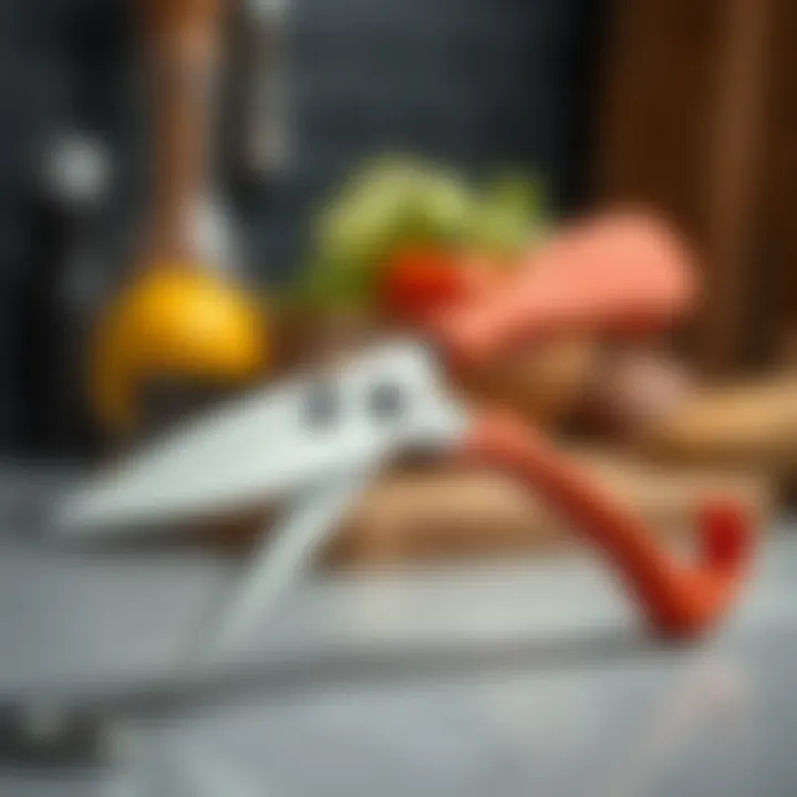 A pair of all-purpose kitchen shears with serrated edges