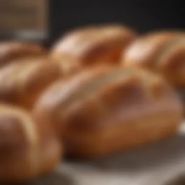 Price Comparison of Bread Among Retailers Comparison of bread prices across different retailers