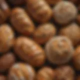 An assortment of artisan breads showcasing diverse textures and colors