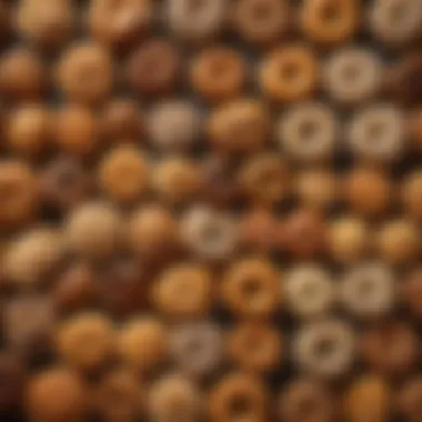 Traditional pastries from various cultures elegantly arranged