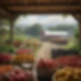 A picturesque view of a local farm in Bennington showcasing fresh produce.