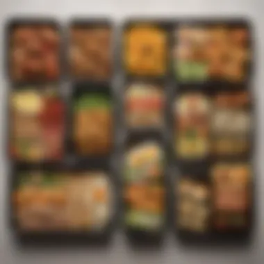 Overview of Various Bento Styles A detailed overview of various bento styles showcasing diversity in meal options.