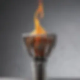 Detailed view of the Bernzomatic culinary torch showcasing its sleek design and features