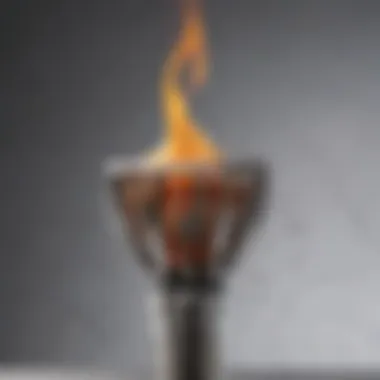 Detailed view of the Bernzomatic culinary torch showcasing its sleek design and features