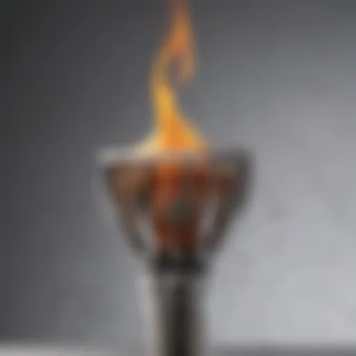 Detailed view of the Bernzomatic culinary torch showcasing its sleek design and features