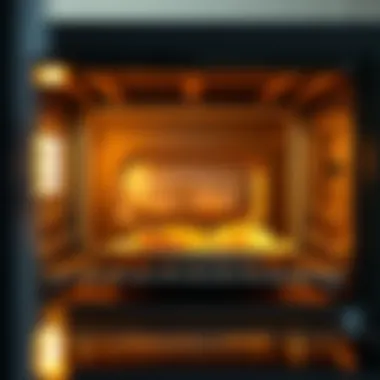 Interior Capacity of a Toaster Oven Side view of toaster oven with food interior