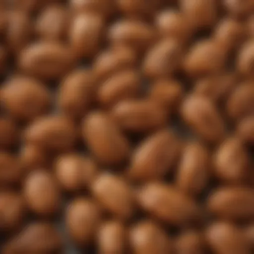 A close-up of golden candied praline pecans glistening in the light.