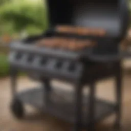 A pristine cast iron gas barbecue ready for grilling