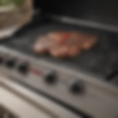 Showcasing the control panel of a Char Broil gas grill