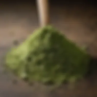 Close-up of matcha powder showcasing its rich green color