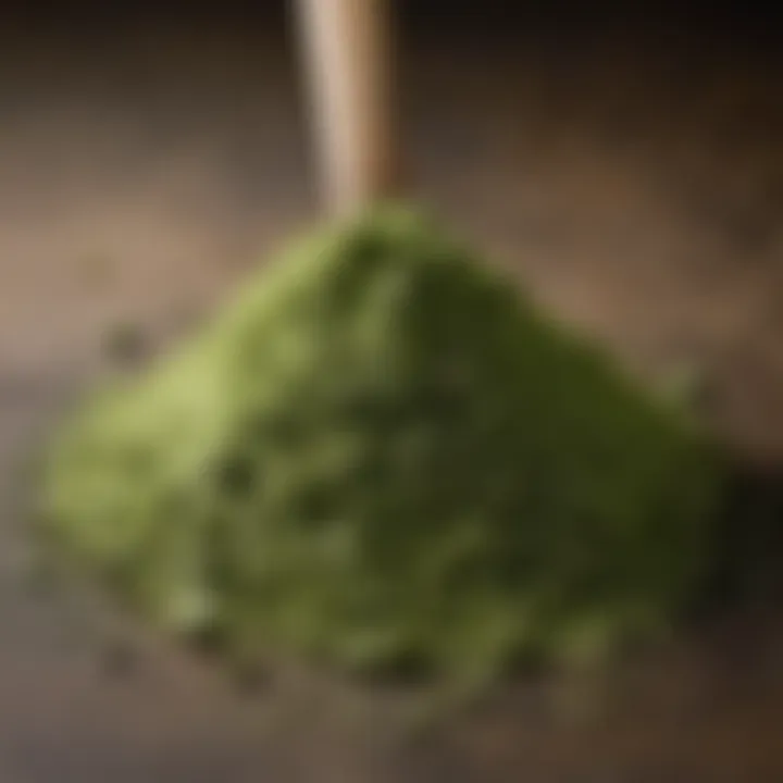 Close-up of matcha powder showcasing its rich green color