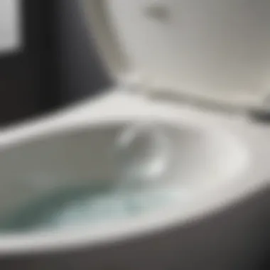 Bubbles forming in a toilet bowl