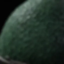 Close-up view of the Amazon Green Egg Grill showcasing its ceramic texture
