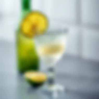 Refined Gimlet Garnished with Lime A refreshing gimlet garnished with a lime wheel