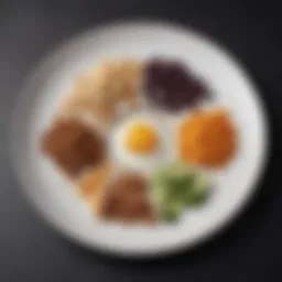 Visual representation of macronutrient balance on a plate