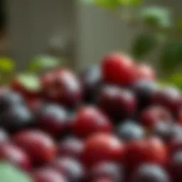 Selection of ripe plums ready for jam making