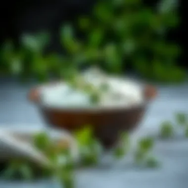 Dairy-Free Sour Cream with Fresh Herbs A bowl of dairy-free sour cream served with fresh herbs