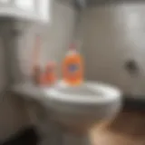 Dish soap bottle next to a toilet