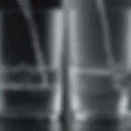 Comparison of distilled and filtered water clarity