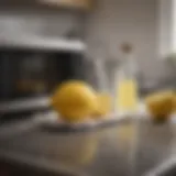 Microwave with a fresh lemon and water solution