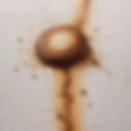 Coffee stain on a white dress fabric