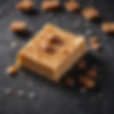 The Tempting Texture of Elevation Keto Bar: An Indulgence A close-up of Elevation Salted Caramel Keto Bar showcasing its texture