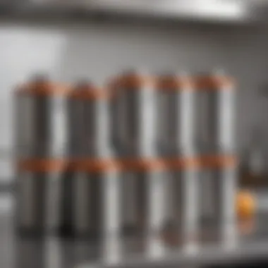 Airscape Canisters in a Culinary Environment A collection of various Airscape canisters in a kitchen setting.