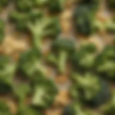 Close-up of Cheesy Broccoli Texture A close-up of cheesy broccoli highlighting its texture and colors
