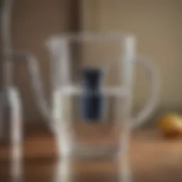 Overview of a water filter pitcher with clear water.