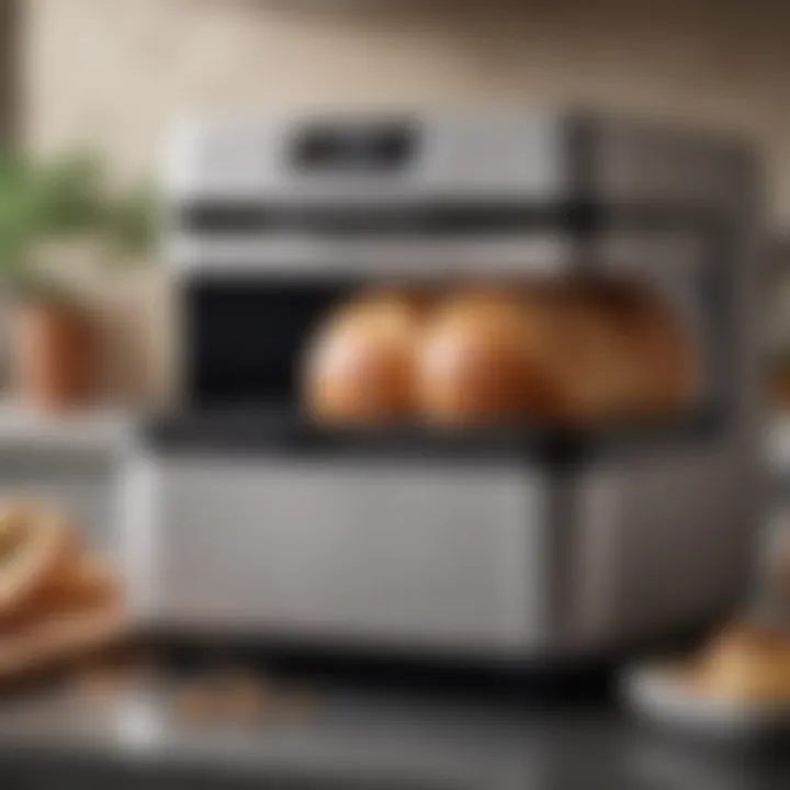 Maintenance tips for bread maker longevity