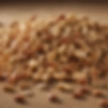 Close-up of a protein-rich snack with nuts and seeds