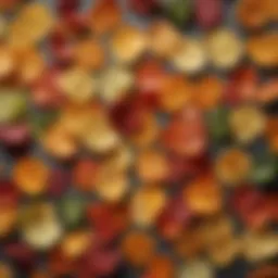 A colorful assortment of keto-friendly vegetable chips