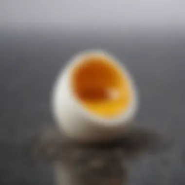 A close-up of chia seeds mixed with water, showcasing a popular egg alternative