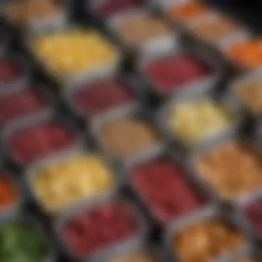 Close-up of sustainable materials used in four-compartment food containers