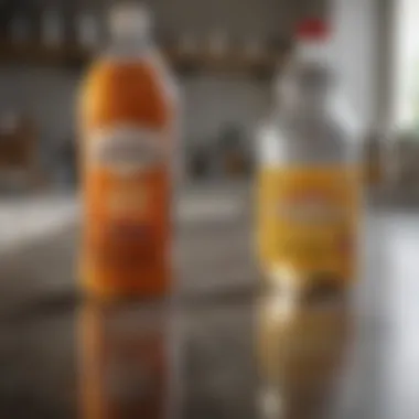 Effective Cleaning Results with Vinegar Before and after cleaning surface with vinegar solution