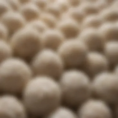 Close-up of konjac rice grains highlighting their unique texture.