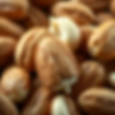 Close-up of almonds and macadamia nuts highlighting their textures