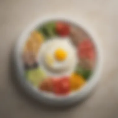Balanced Low-Potassium Meal Presentation Plate featuring low-potassium meal options