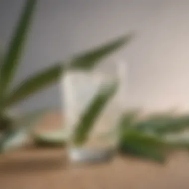 Refreshing Low Sugar Aloe Drink A refreshing low sugar aloe drink in a clear glass surrounded by fresh aloe vera leaves