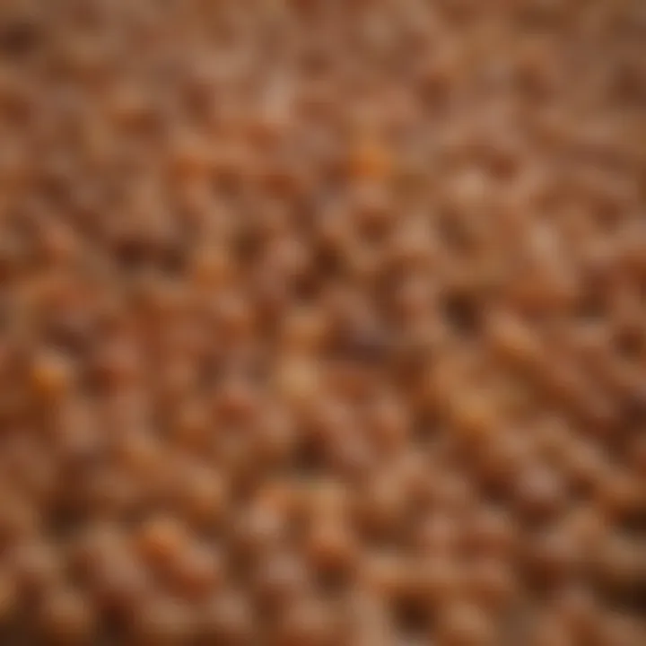 A close-up of lentils illustrating their rich texture and color variations.