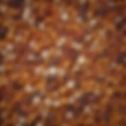 A vibrant display of assorted legumes in various hues and textures.