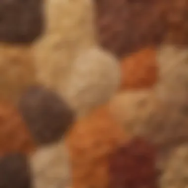 Diverse Grains for Protein A colorful array of grains showcasing their diversity and nutritional value.