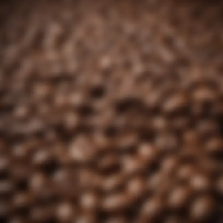 Close-up of freshly roasted coffee beans showcasing their texture