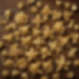 A variety of homemade pasta shapes on a wooden surface