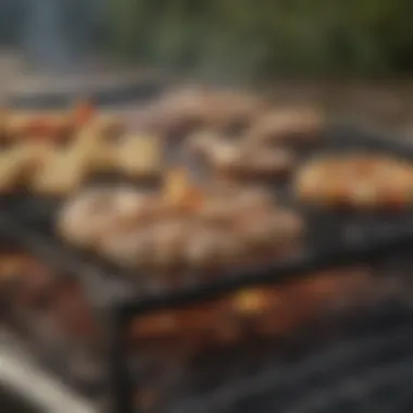 Close-up of various fuel options for camping grills