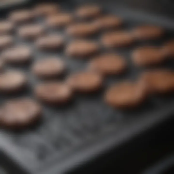 Close-up of the grilling surface demonstrating its non-stick features.