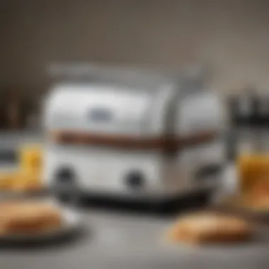 Elegant Design of the Delonghi Retro Panini Maker Elegant design of the Delonghi Retro Panini Maker showcasing its vintage aesthetics